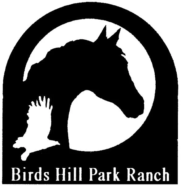  -Splash-proof food bowl AND Anti-choking slow food bowlBirds Hill Park Ranch