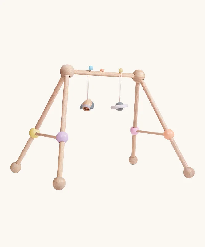 -Grain-free dog food recommendationPlanToys Pastel Play Gym