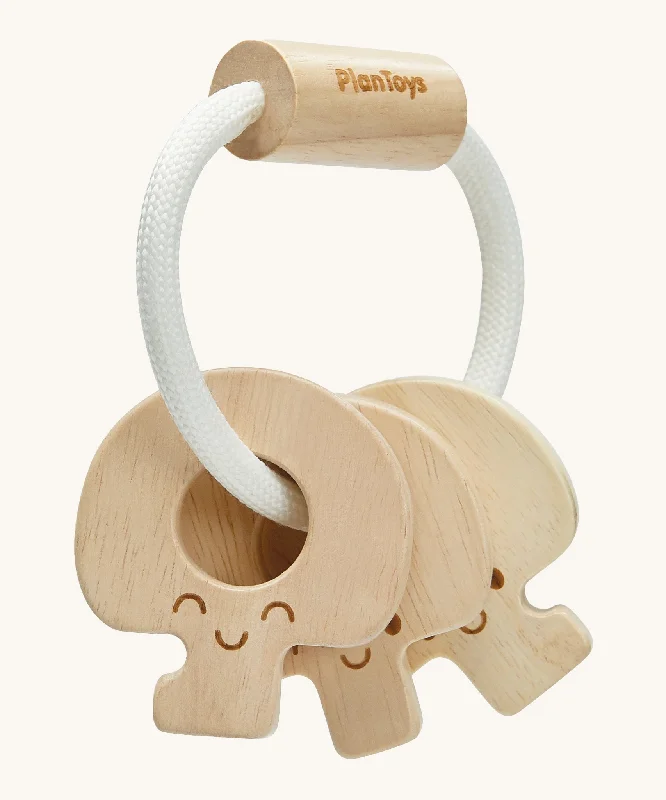 - Special food for puppiesPlanToys Natural Baby Key Rattle