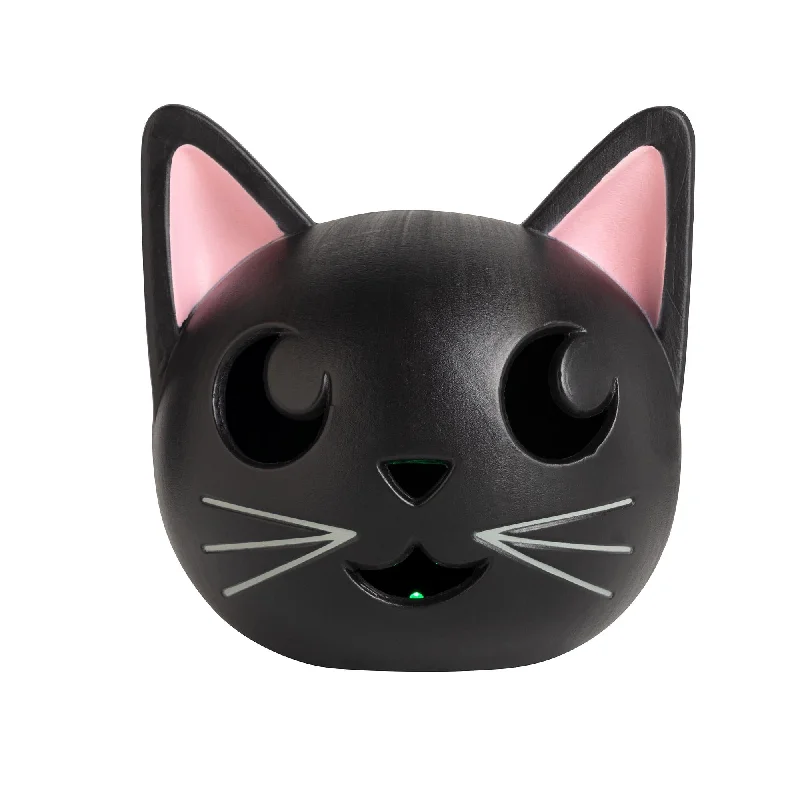 - Custom pet birthday cakeSainsbury's Home Cat Light Up Pumpkin Black