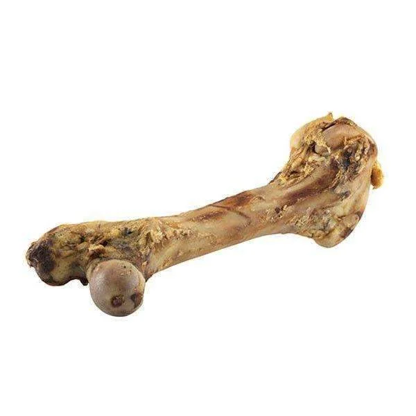 ### Cat accessoriesJack Beef Shin Bone 1pcs (40-55cm)