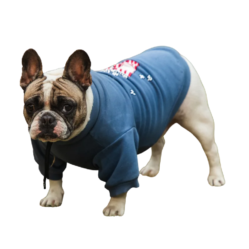 5. **Pet backpack is breathable**Pet Snugs Popcorn Print Sweatshirt for Dogs (Sky Blue)